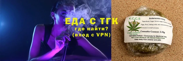 стаф Бородино