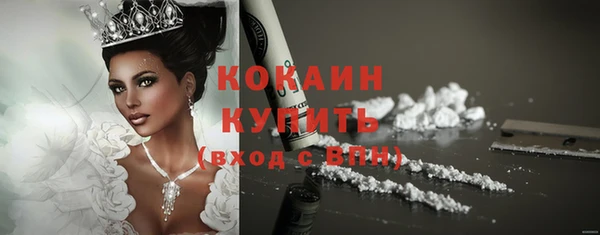 прущие грибы Бугульма
