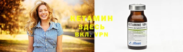стаф Бородино