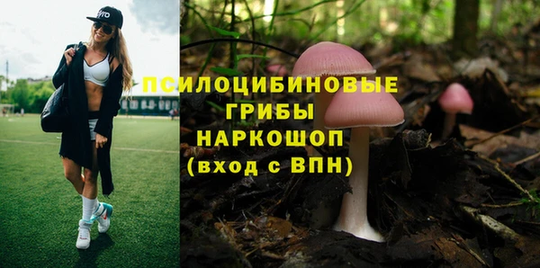 спиды Богородск