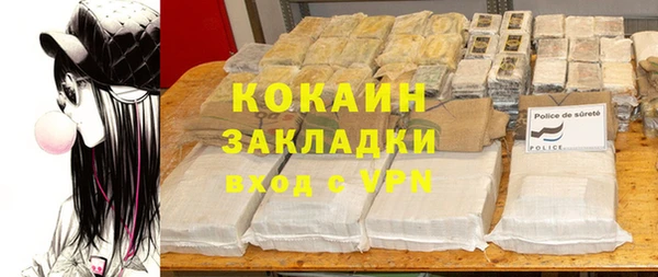 стаф Бородино