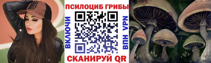где продают   mega рабочий сайт  Псилоцибиновые грибы прущие грибы  Горнозаводск 